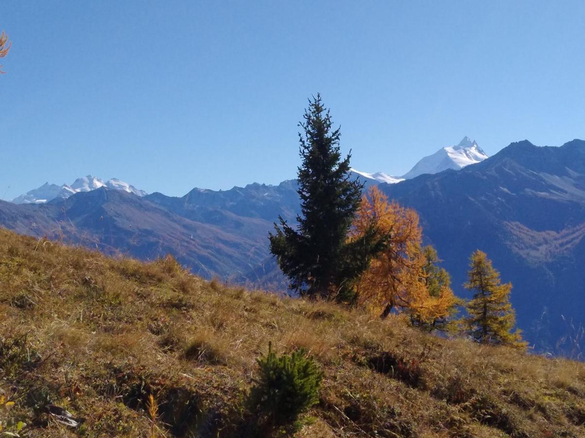 Chalet Waldrand Inden Экстерьер фото